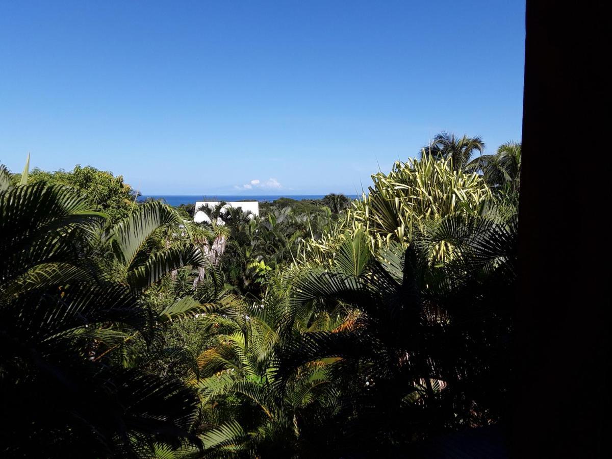 Villa Et Gites Le Safran - Le Triskell 德赛 外观 照片