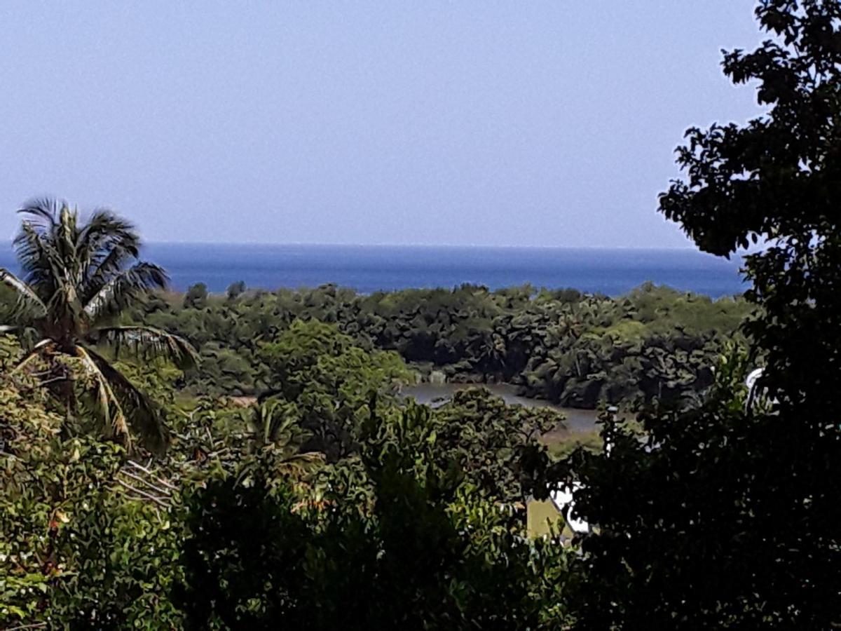 Villa Et Gites Le Safran - Le Triskell 德赛 外观 照片