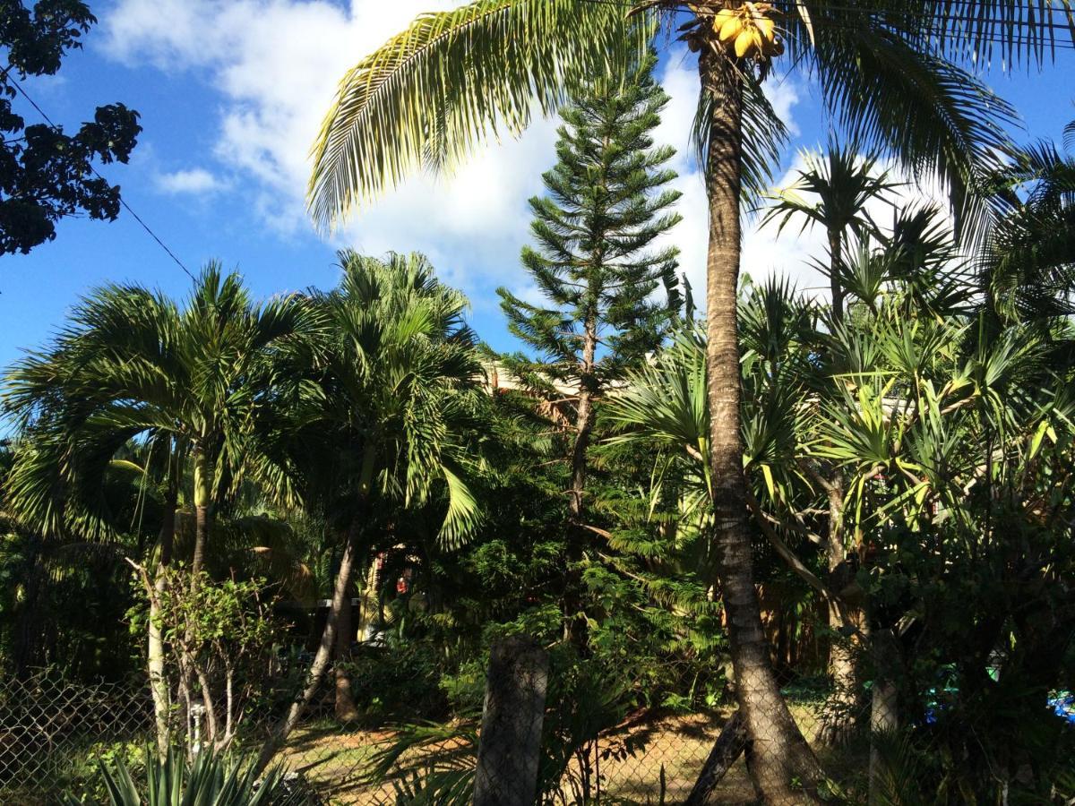 Villa Et Gites Le Safran - Le Triskell 德赛 外观 照片