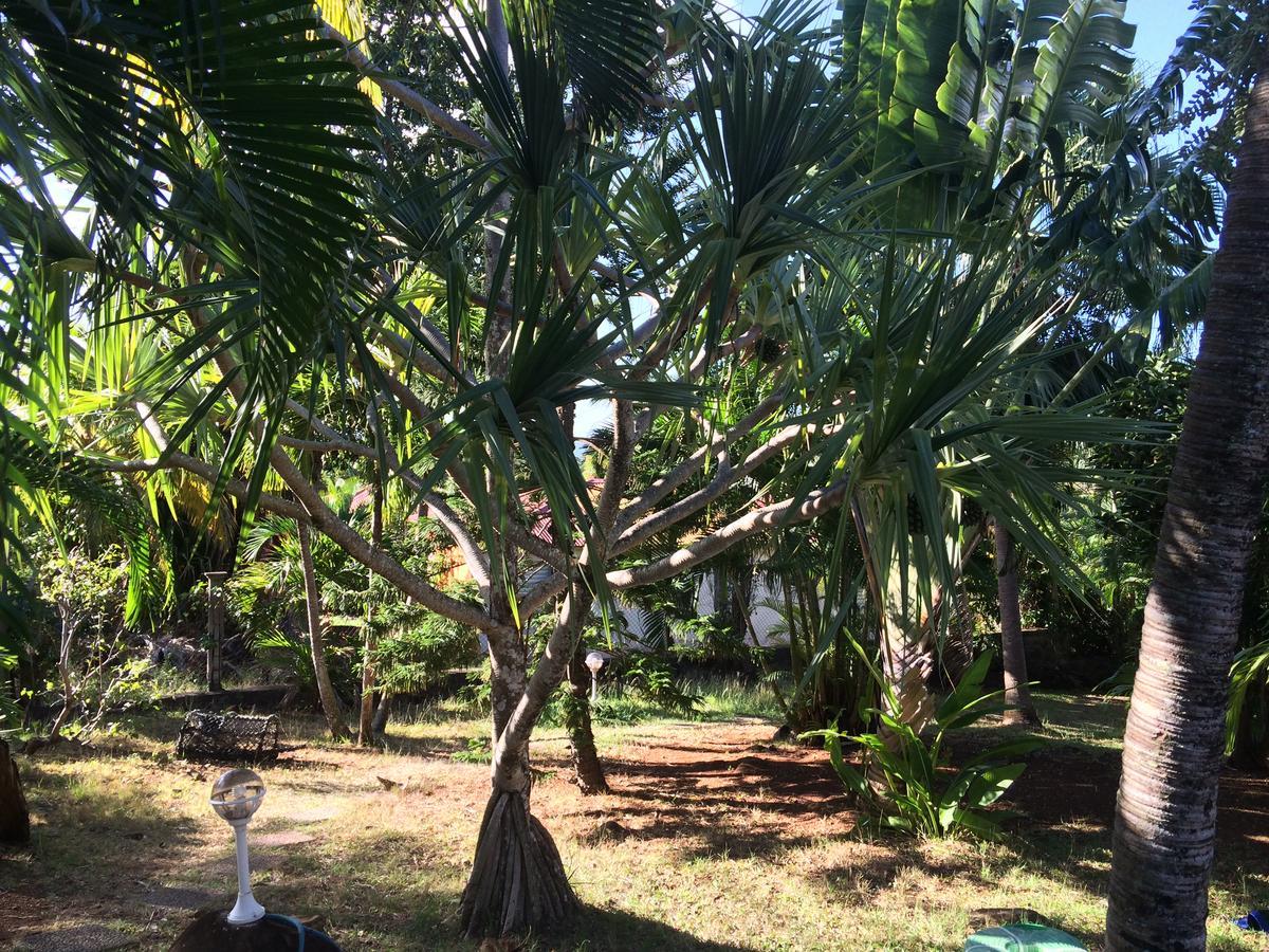 Villa Et Gites Le Safran - Le Triskell 德赛 外观 照片